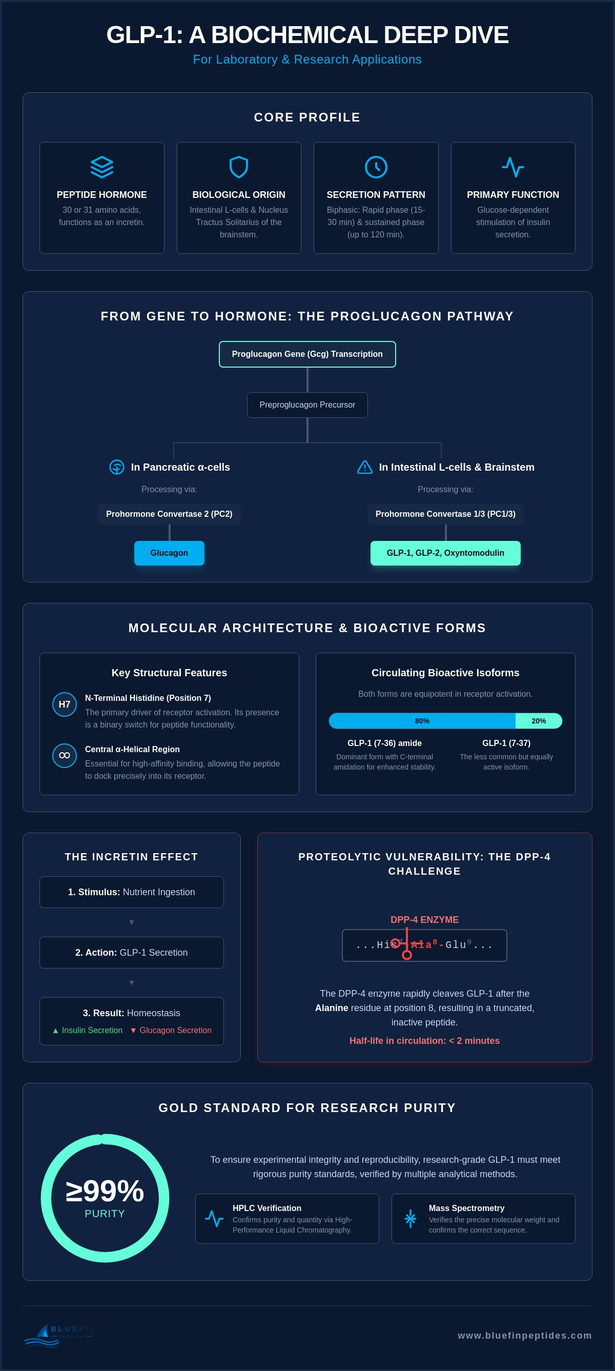 What is Glucagon-Like Peptide-1? A Technical Overview for Researchers infographic