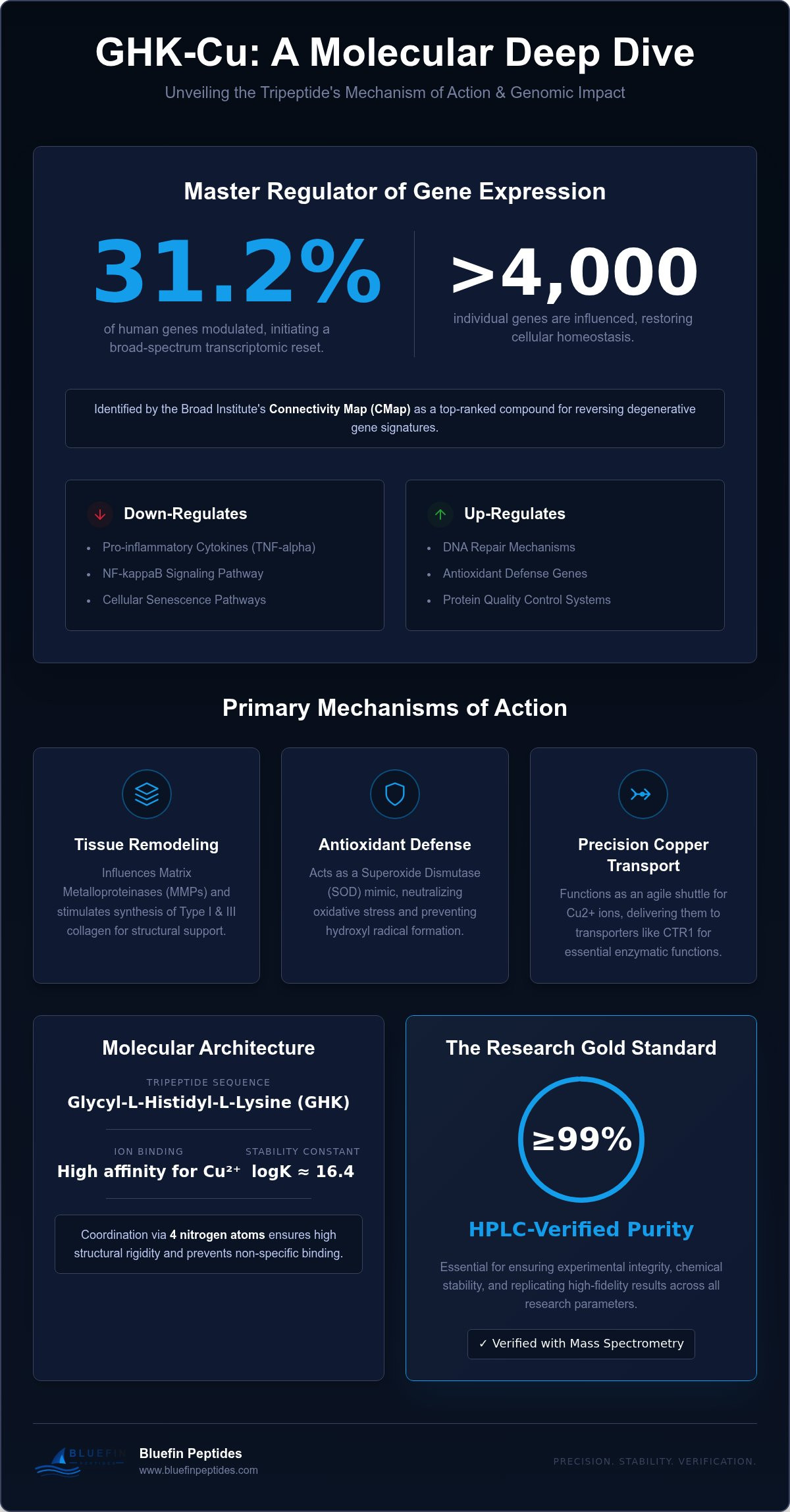 GHK-Cu Mechanism of Action: A Comprehensive Molecular Analysis infographic