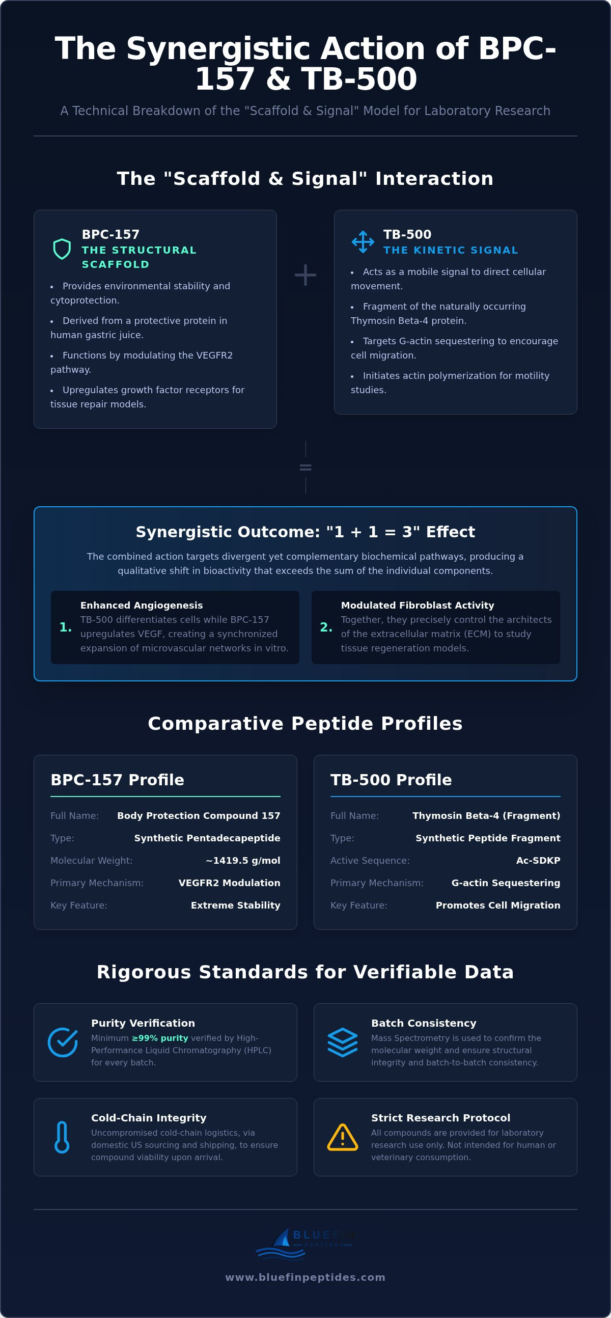 BPC-157 and TB-500 Synergistic Effects: Analytical Research and Laboratory Applications infographic